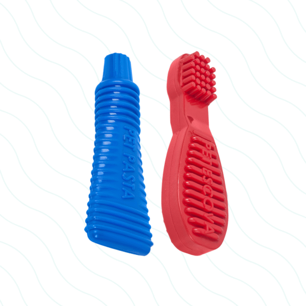 Kit Pet Pasta + Pet Escova Mordedor Nylon Resitente Pet Games